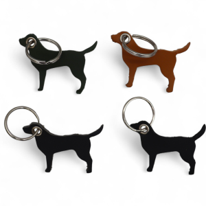 Hond 4 Kleuren